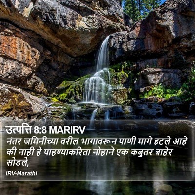 उत्पत्ति 8:8 MARIRV Bible Verse Image