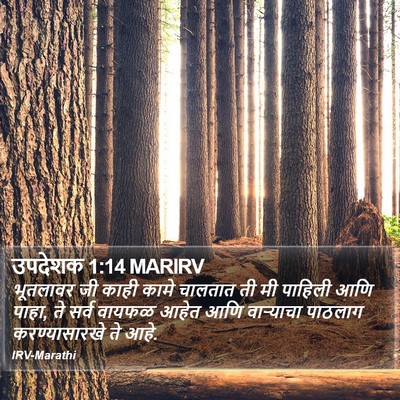 उपदेशक 1:14 MARIRV Bible Verse Image