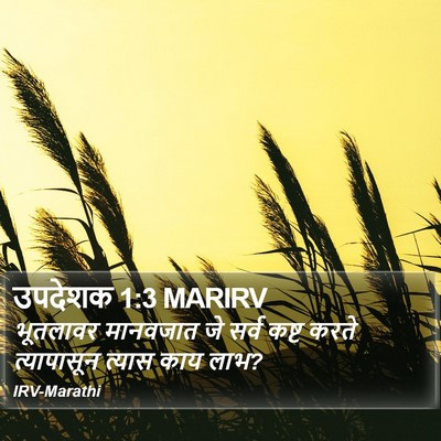 उपदेशक 1:3 MARIRV Bible Verse Image