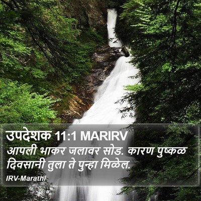 उपदेशक 11:1 MARIRV Bible Verse Image