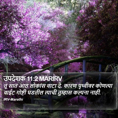 उपदेशक 11:2 MARIRV Bible Verse Image