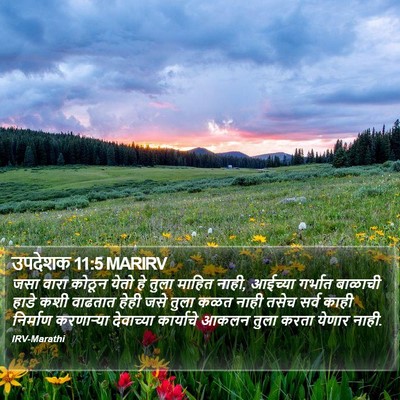 उपदेशक 11:5 MARIRV Bible Verse Image