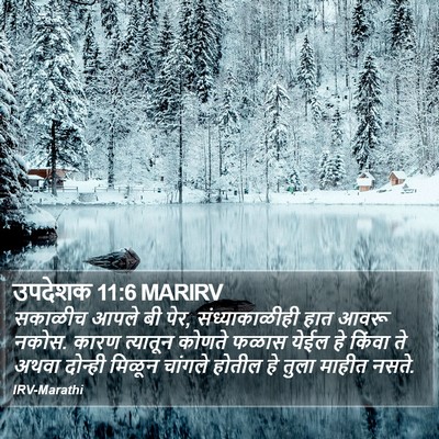 उपदेशक 11:6 MARIRV Bible Verse Image