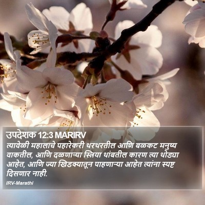 उपदेशक 12:3 MARIRV Bible Verse Image