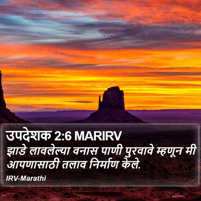 उपदेशक 2:6 MARIRV Bible Verse Image