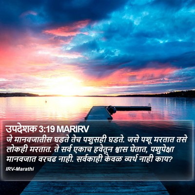 उपदेशक 3:19 MARIRV Bible Verse Image