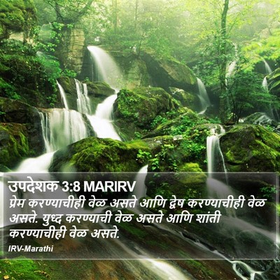 उपदेशक 3:8 MARIRV Bible Verse Image