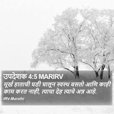 उपदेशक 4:5 MARIRV Bible Verse Image