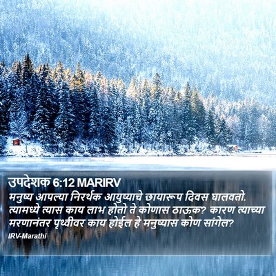 उपदेशक 6:12 MARIRV Bible Verse Image