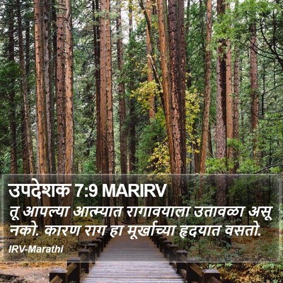 उपदेशक 7:9 MARIRV Bible Verse Image