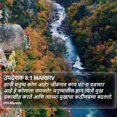 उपदेशक 8:1 MARIRV Bible Verse Image