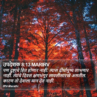 उपदेशक 8:13 MARIRV Bible Verse Image
