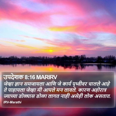 उपदेशक 8:16 MARIRV Bible Verse Image
