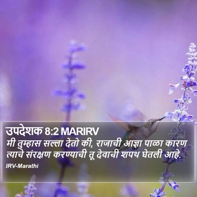 उपदेशक 8:2 MARIRV Bible Verse Image