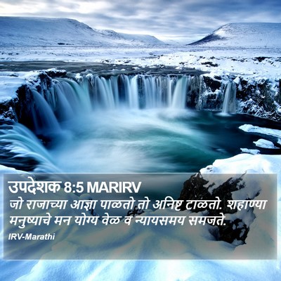 उपदेशक 8:5 MARIRV Bible Verse Image
