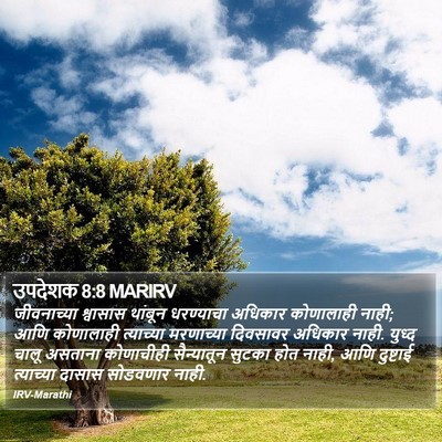 उपदेशक 8:8 MARIRV Bible Verse Image