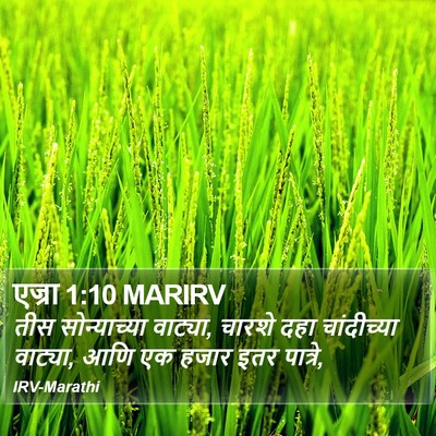 एज्रा 1:10 MARIRV Bible Verse Image
