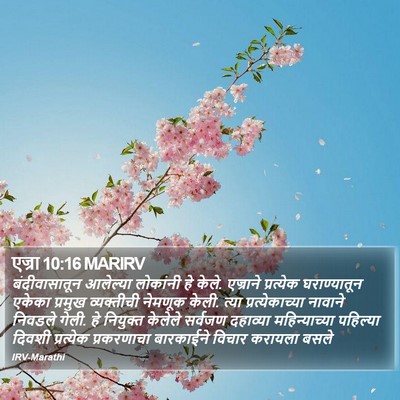 एज्रा 10:16 MARIRV Bible Verse Image