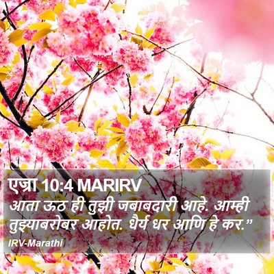 एज्रा 10:4 MARIRV Bible Verse Image