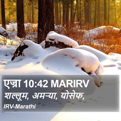 एज्रा 10:42 MARIRV Bible Verse Image