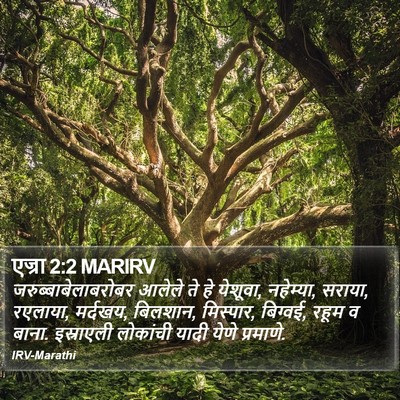 एज्रा 2:2 MARIRV Bible Verse Image