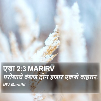 एज्रा 2:3 MARIRV Bible Verse Image