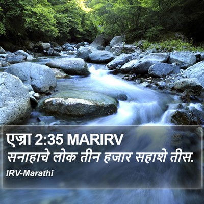 एज्रा 2:35 MARIRV Bible Verse Image