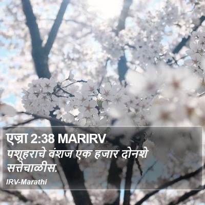 एज्रा 2:38 MARIRV Bible Verse Image