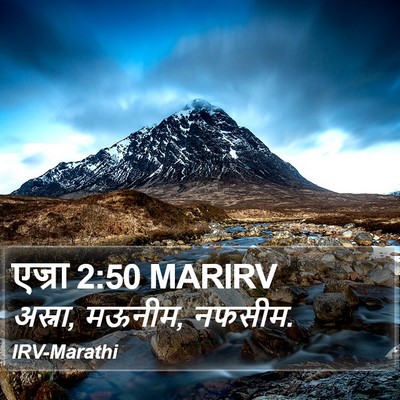 एज्रा 2:50 MARIRV Bible Verse Image