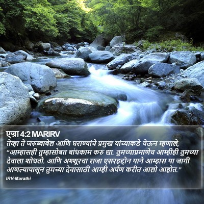 एज्रा 4:2 MARIRV Bible Verse Image