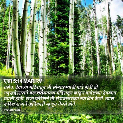 एज्रा 5:14 MARIRV Bible Verse Image