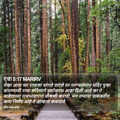 एज्रा 5:17 MARIRV Bible Verse Image