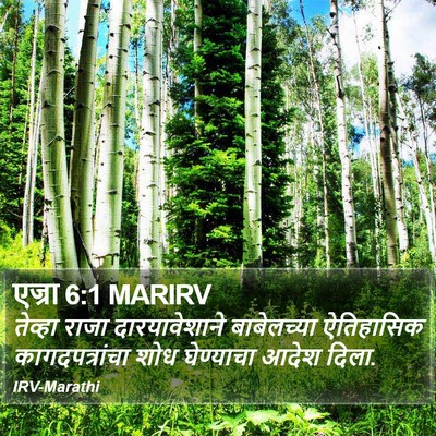 एज्रा 6:1 MARIRV Bible Verse Image