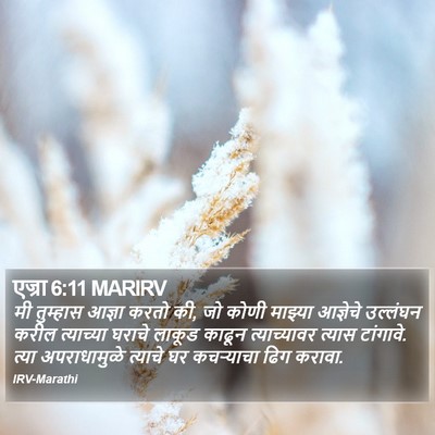 एज्रा 6:11 MARIRV Bible Verse Image
