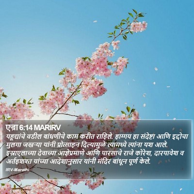 एज्रा 6:14 MARIRV Bible Verse Image