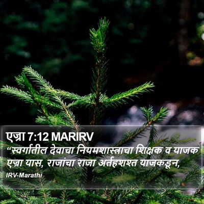 एज्रा 7:12 MARIRV Bible Verse Image