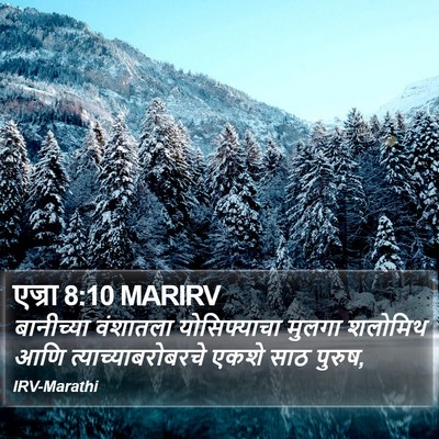 एज्रा 8:10 MARIRV Bible Verse Image