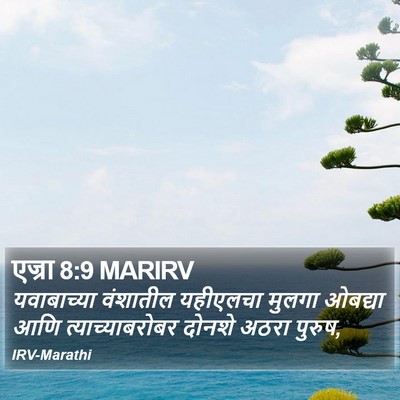 एज्रा 8:9 MARIRV Bible Verse Image