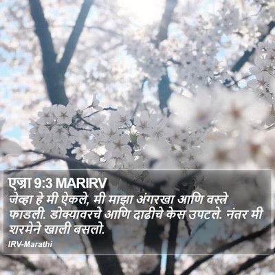 एज्रा 9:3 MARIRV Bible Verse Image