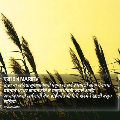 एज्रा 9:4 MARIRV Bible Verse Image