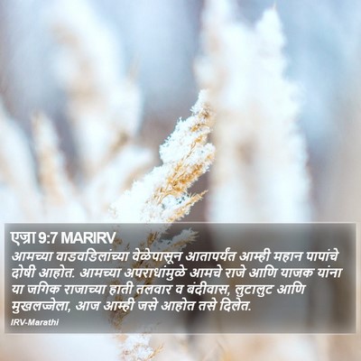 एज्रा 9:7 MARIRV Bible Verse Image