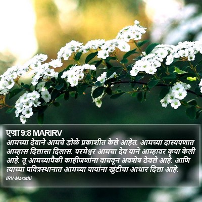 एज्रा 9:8 MARIRV Bible Verse Image