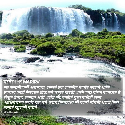 एस्तेर 1:19 MARIRV Bible Verse Image