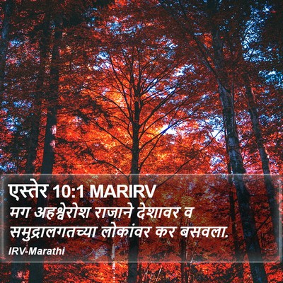 एस्तेर 10:1 MARIRV Bible Verse Image