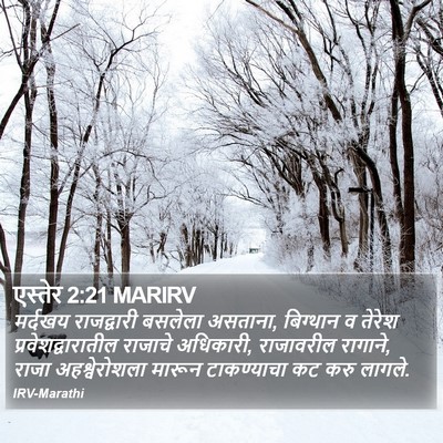 एस्तेर 2:21 MARIRV Bible Verse Image