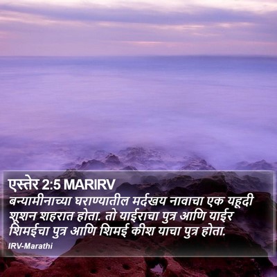 एस्तेर 2:5 MARIRV Bible Verse Image