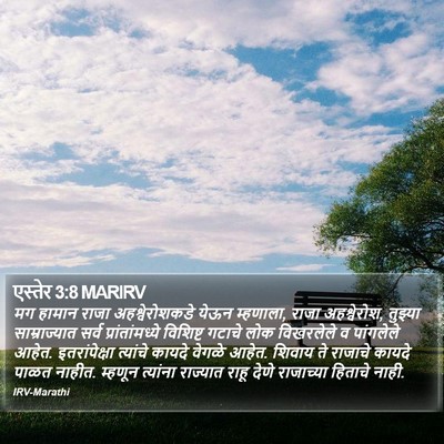 एस्तेर 3:8 MARIRV Bible Verse Image
