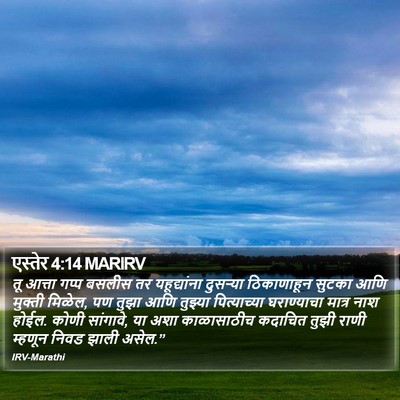 एस्तेर 4:14 MARIRV Bible Verse Image