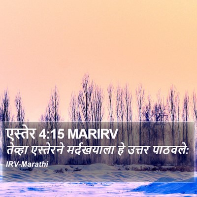 एस्तेर 4:15 MARIRV Bible Verse Image