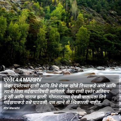 एस्तेर 4:4 MARIRV Bible Verse Image